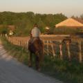 HARAS DE TOURTERELLE