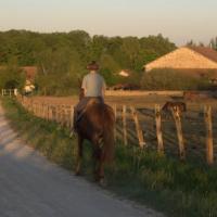 HARAS DE TOURTERELLE